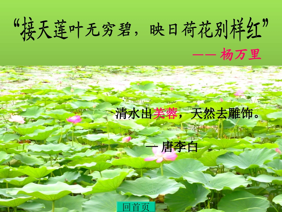 《爱莲说》课件 (3)_第2页
