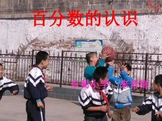 百分数的认识PPT