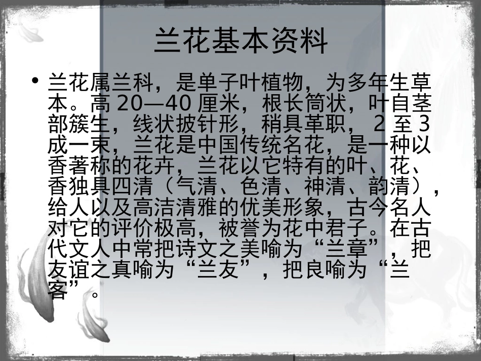 兰韵演示文稿_第3页