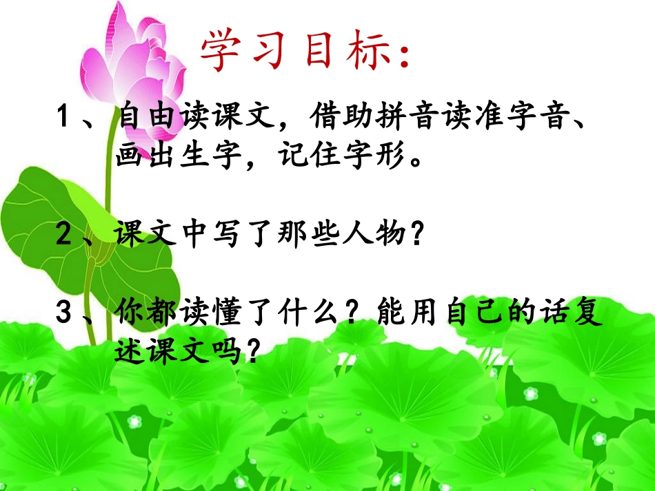 荷叶圆圆课件_第3页