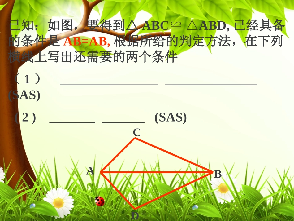 全等三角形的判定——角边角_第2页