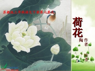 《荷花》PPT之三课件（苏教版三年级语文下册课件）