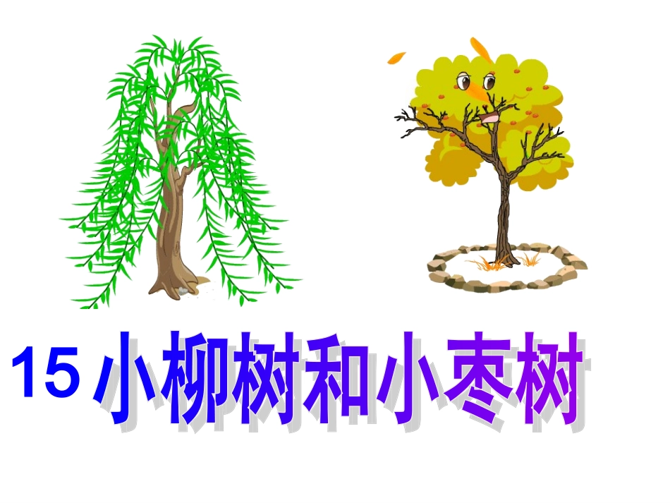 小柳树和小枣树课件_第1页