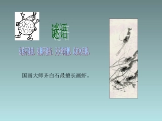 四年级下语文课件（B）-虾趣_湘教版