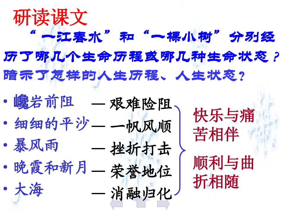 谈生命----_第3页