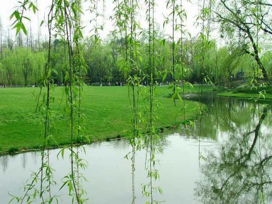 春天在哪0023698_第3页