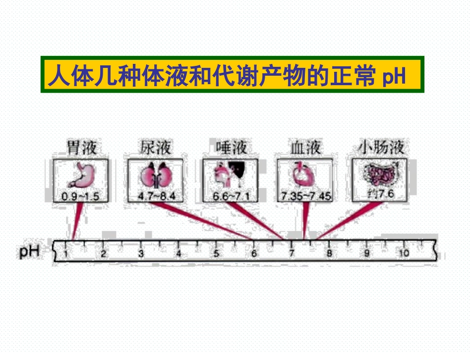 专题3第二单元第1课时溶液的酸碱性课件_第2页