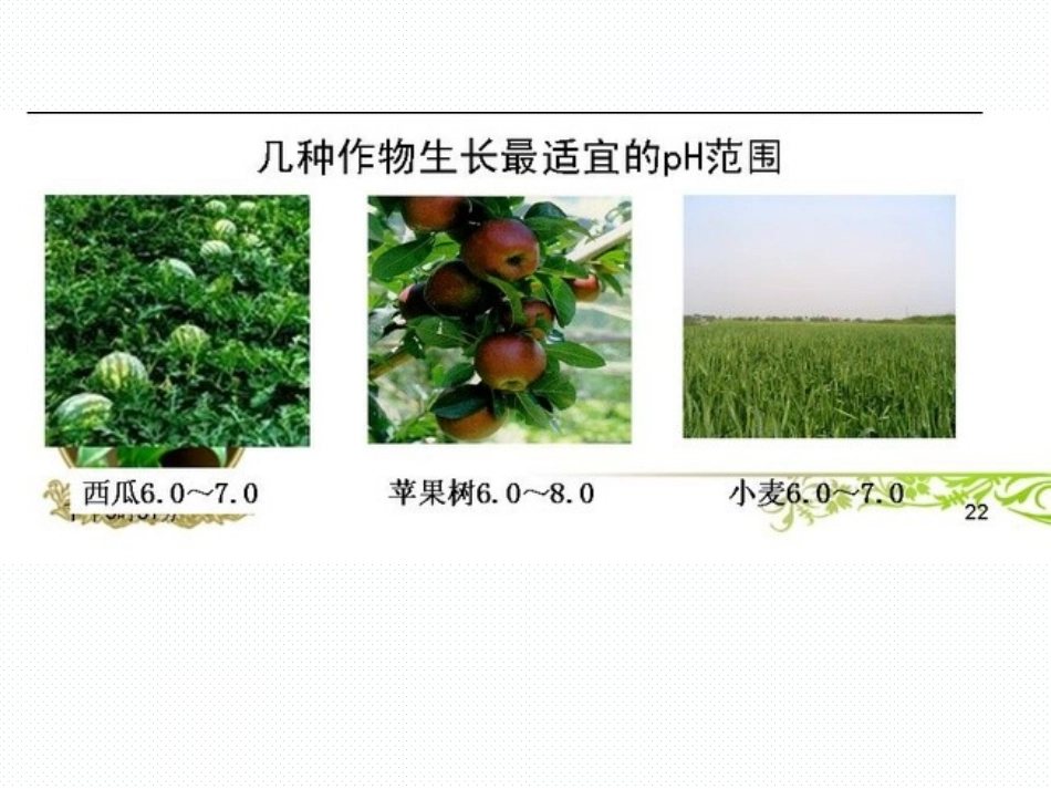 专题3第二单元第1课时溶液的酸碱性课件_第3页