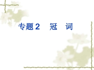 2011年中考英语专题复习课件-冠词
