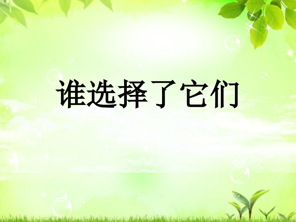 谁选择了它们课件_第1页