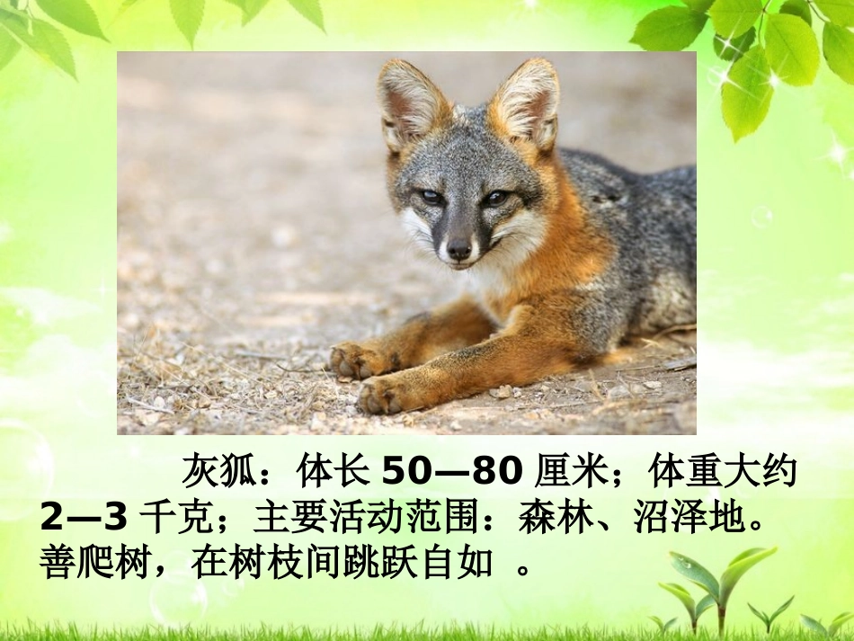 谁选择了它们课件_第2页