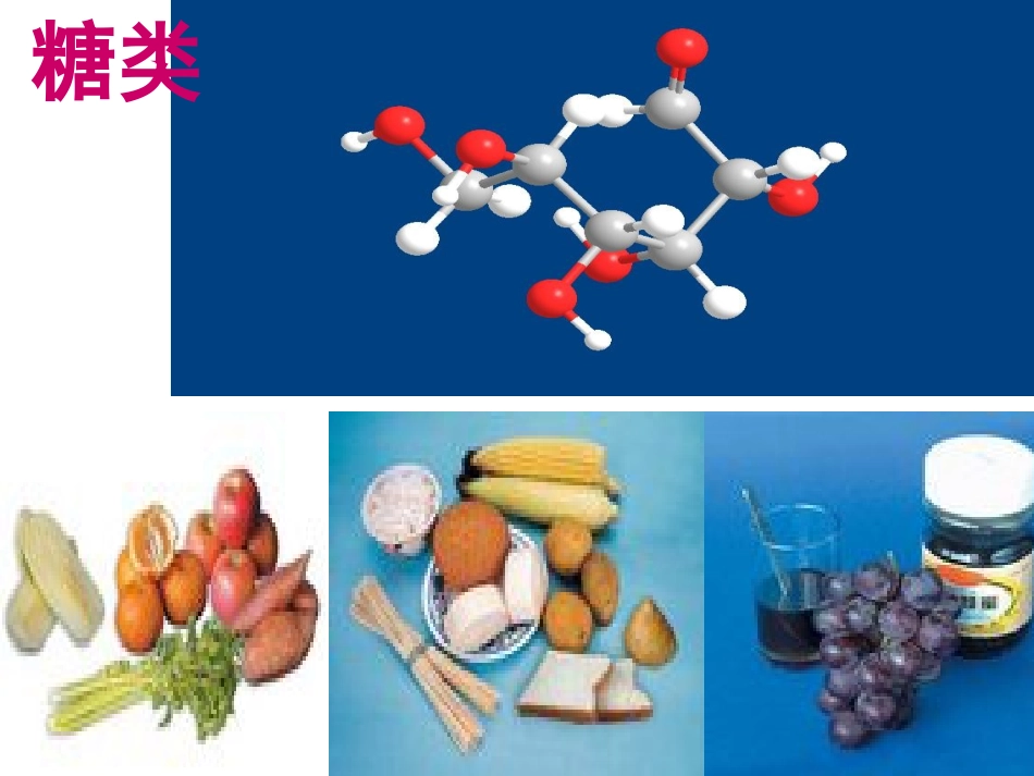 生命活动的物质基础_第2页