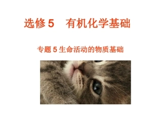 生命活动的物质基础