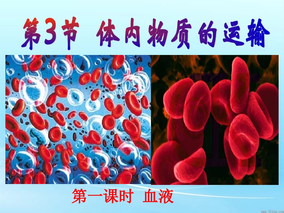 体内物质的运输第一课时血液_第1页