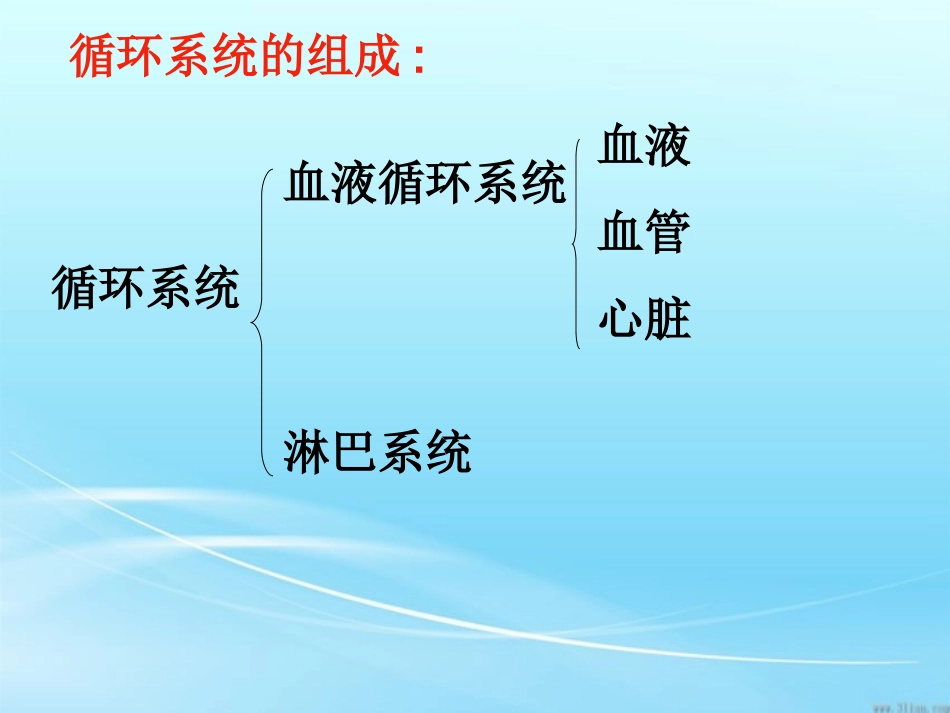 体内物质的运输第一课时血液_第3页