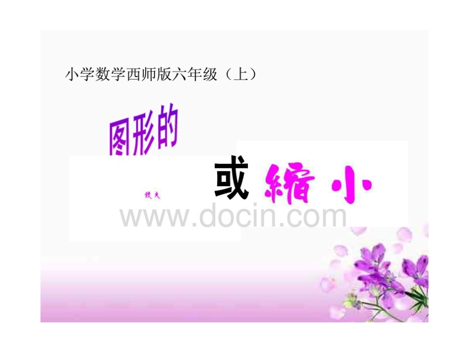 图形的放大与缩小_第1页