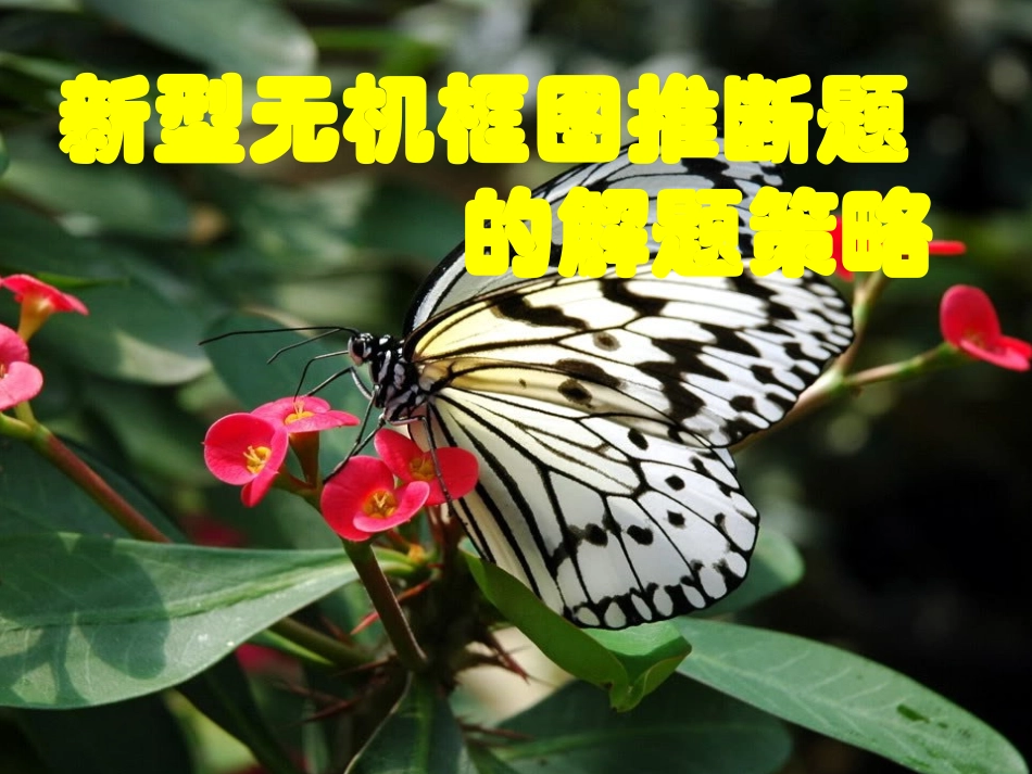 新型无机框图推断题的解题策略_第1页