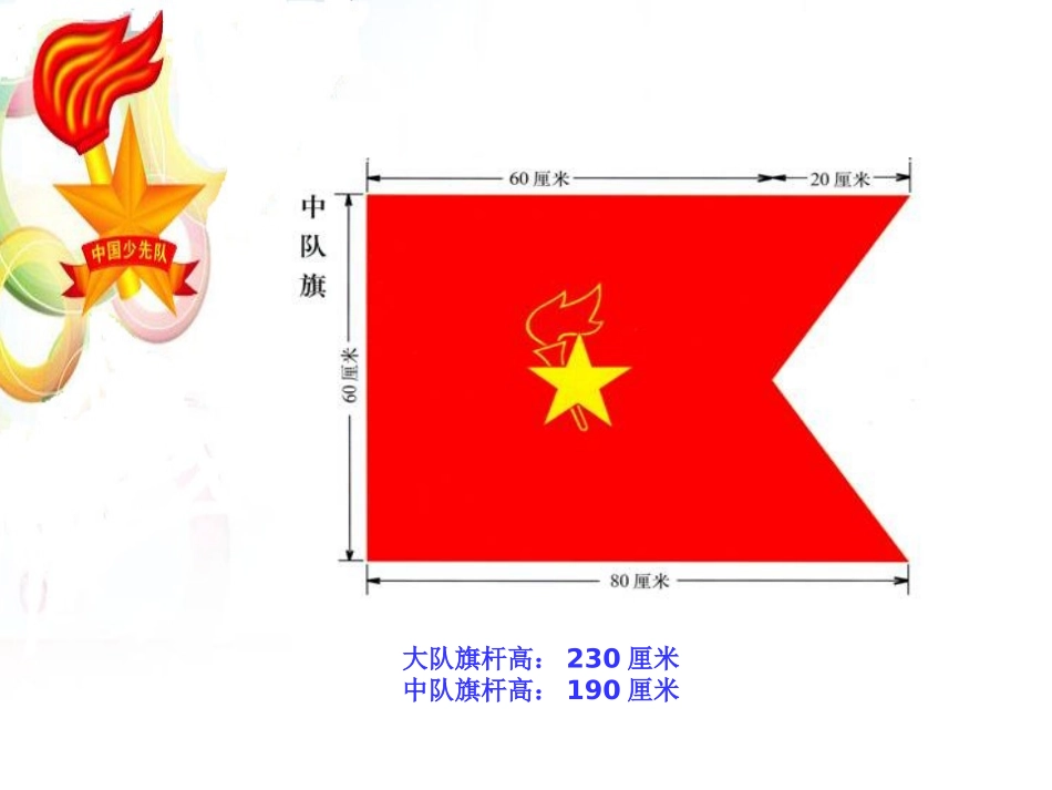 学习少先队队章掌握队的基本礼仪_第3页