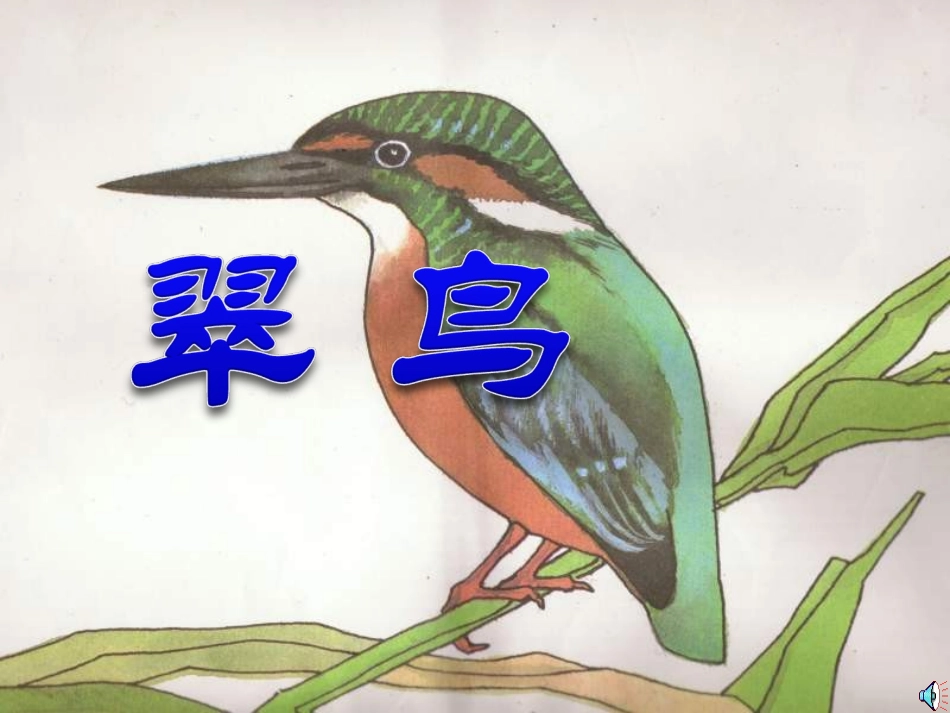 《翠鸟》PPT课件_第1页
