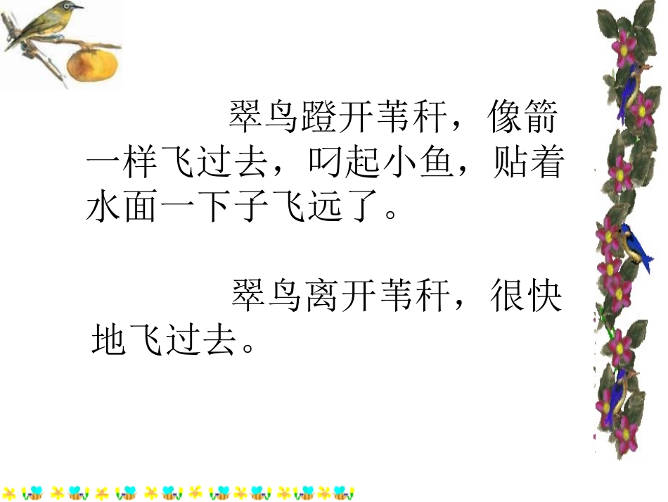《翠鸟》PPT课件_第3页