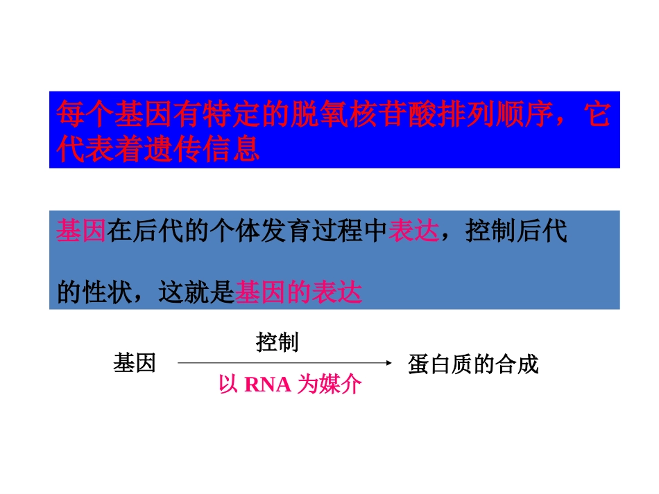 遗传信息的表达_第2页