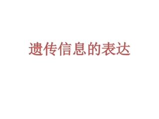 遗传信息的表达