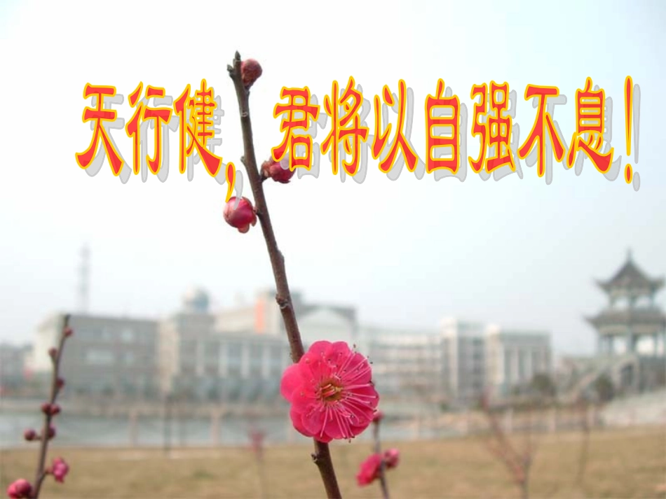 爱拼才会赢师兄_第1页