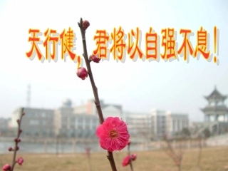 爱拼才会赢师兄