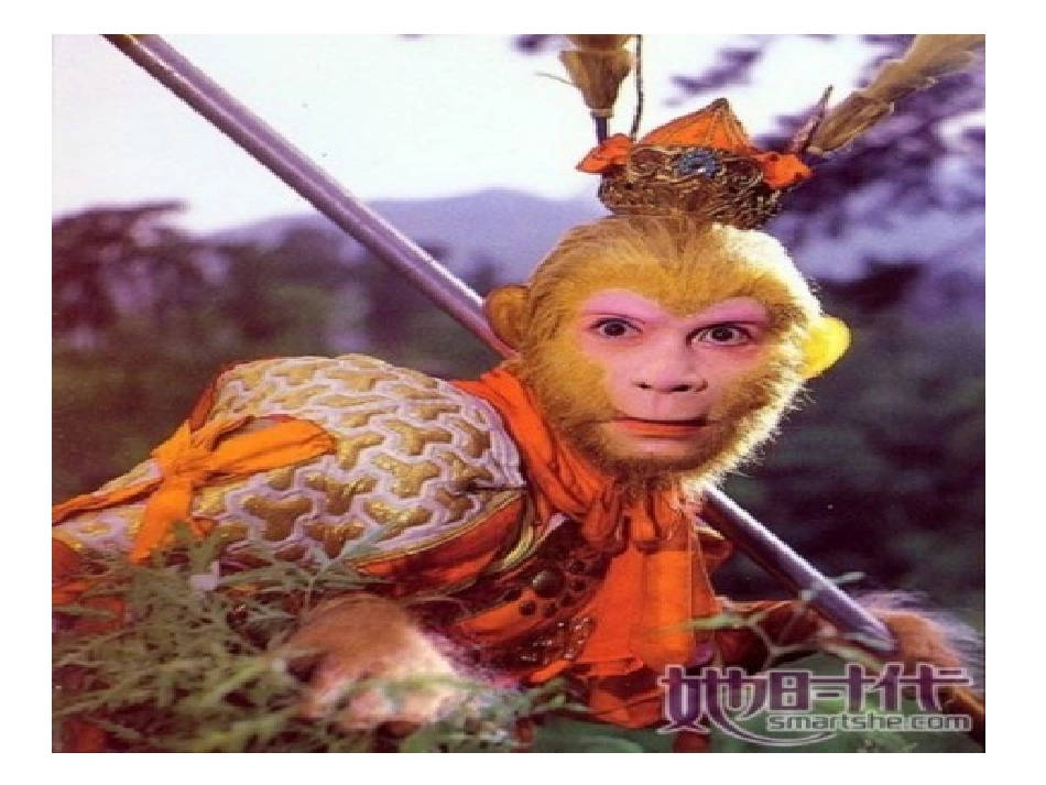 找规律1 (2)_第3页