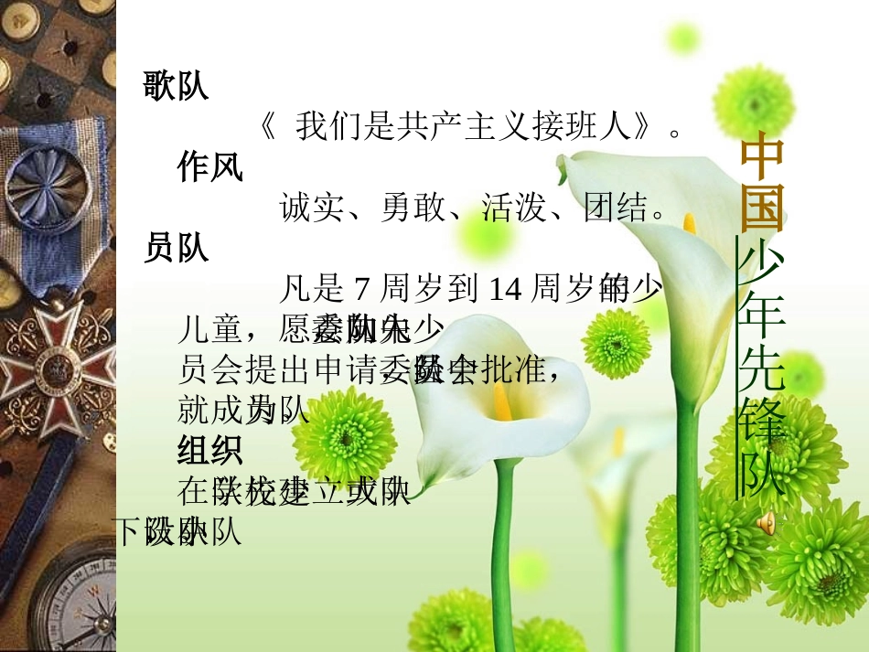 光荣的少先队_第2页