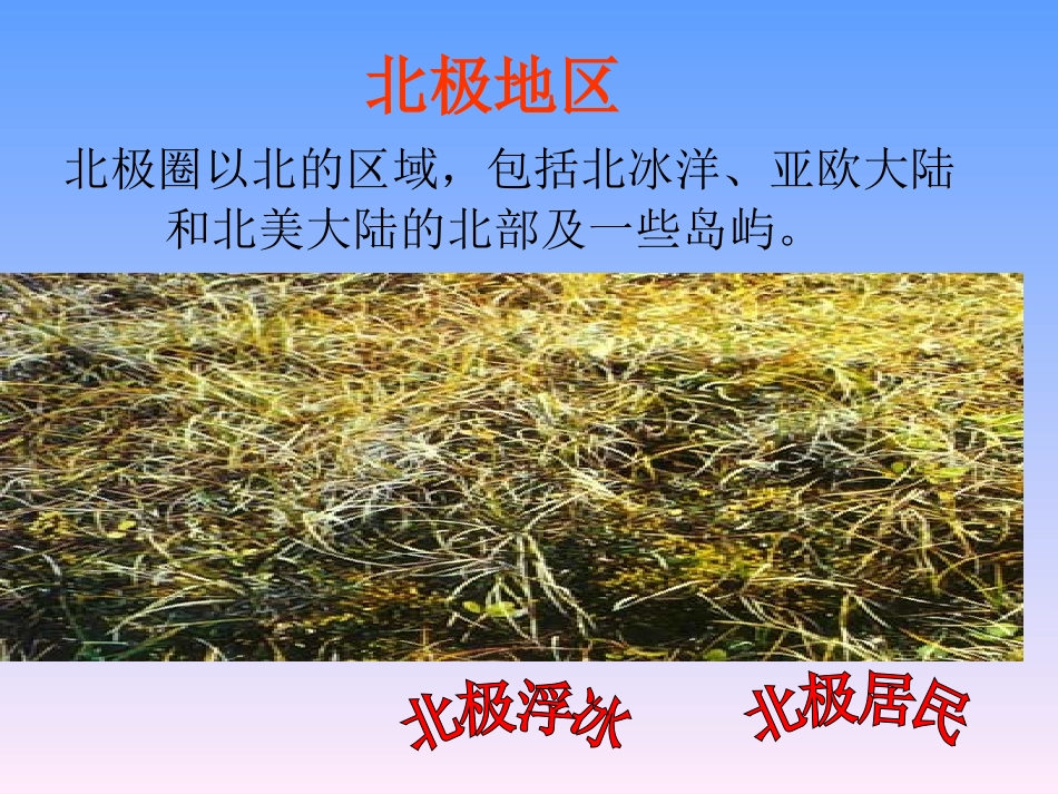 《第五节北极地区和南极地区》课件1_第3页