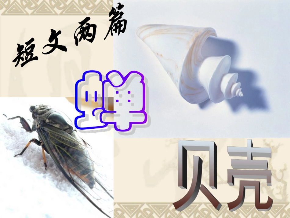 短文两篇蝉贝壳_第1页