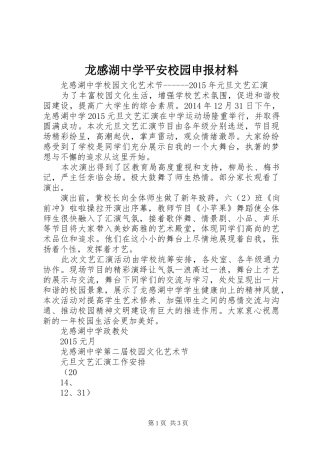 龙感湖中学平安校园申报材料