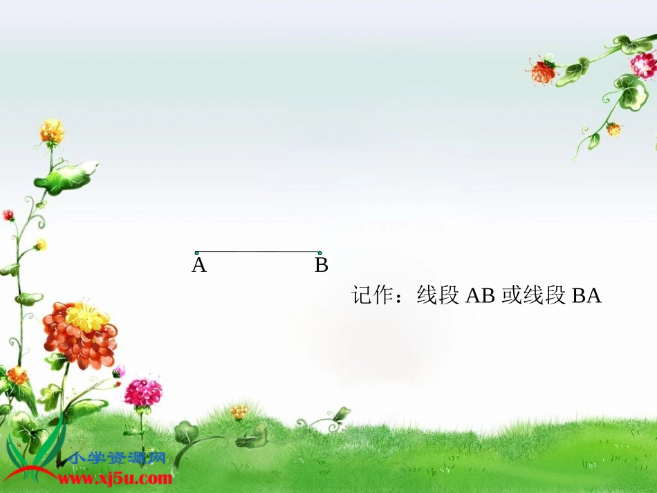 (人教新课标)四年级数学上册_线段、直线、射线杨冬艳_第3页