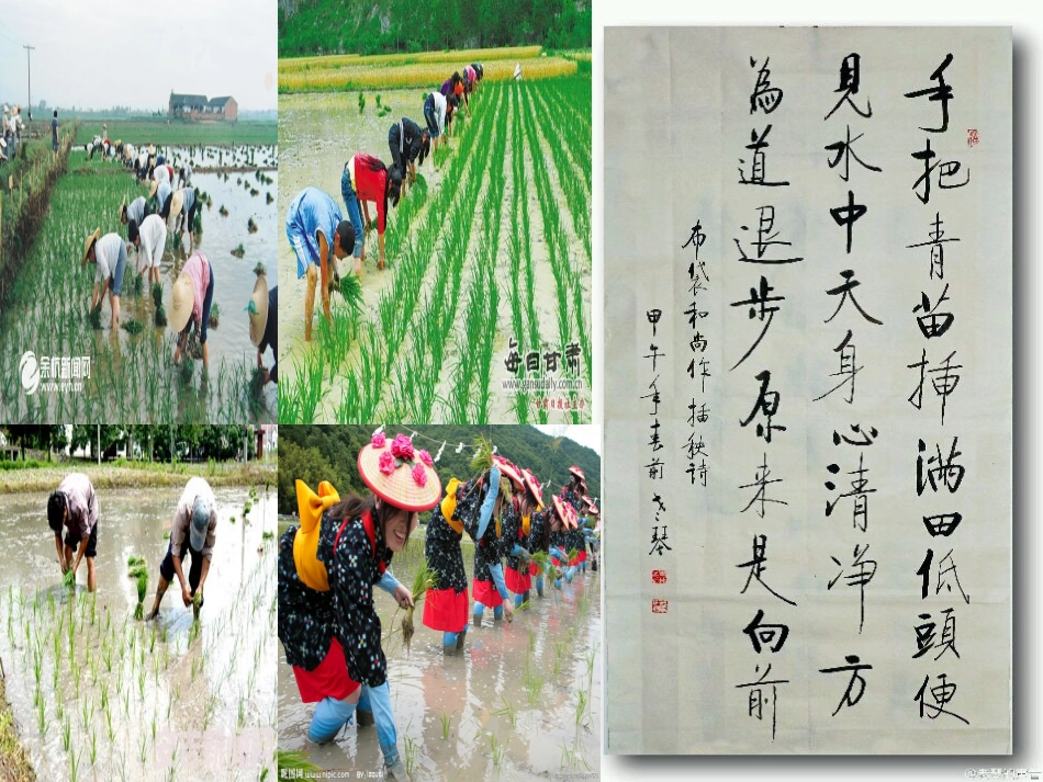 文峰桃花交流之妙笔点睛一语生辉演示文稿_第2页