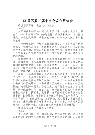 XX县区委三届十次会议心得体会