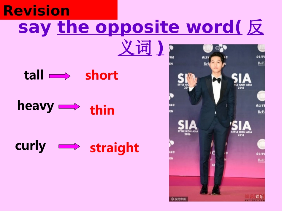 七年级下册Unit9Whatdoeshelooklike？_第2页