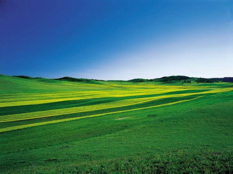 九年级下册历史第11课日本成为世界经济强国课件_第2页