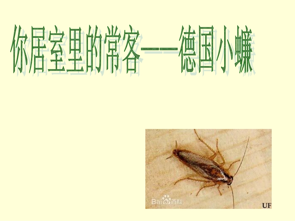 生物入侵者陈瑜_第2页