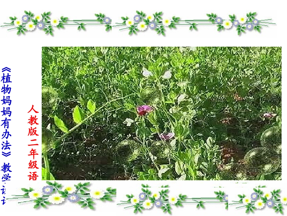 植物妈妈有办法3_第1页