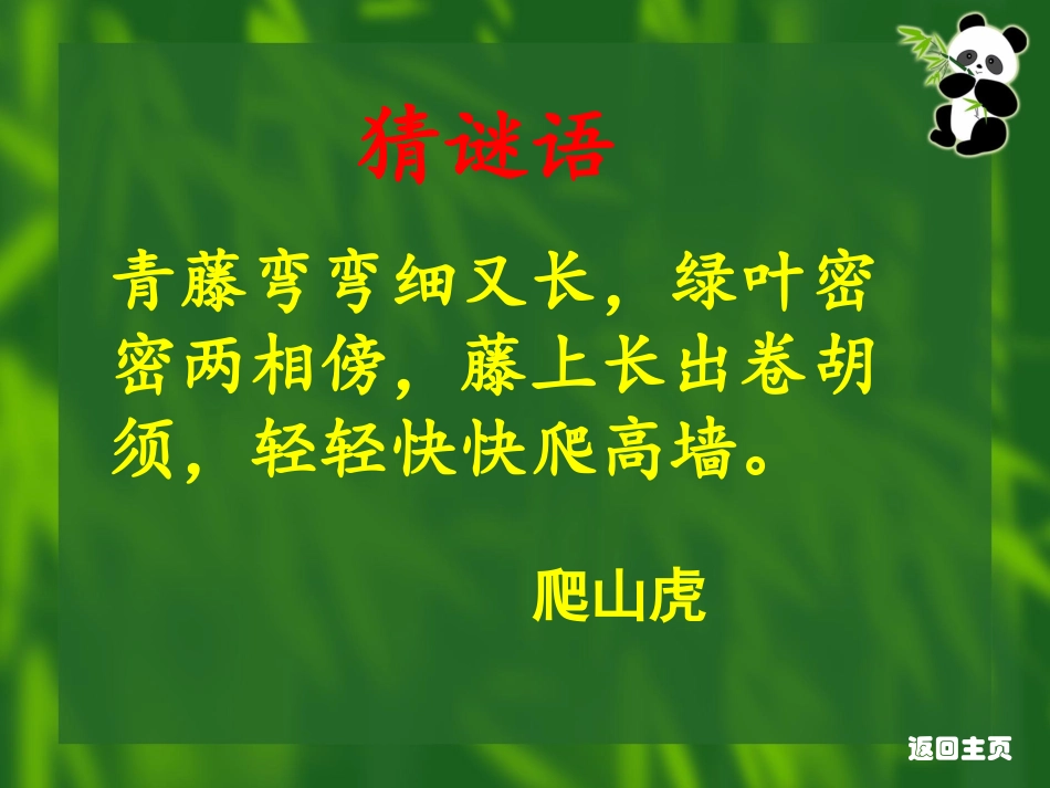 人教版小学语文四年级上册--爬山虎的脚-PPT课件_第2页