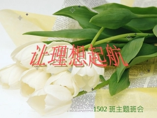 让理想起航——主题班会