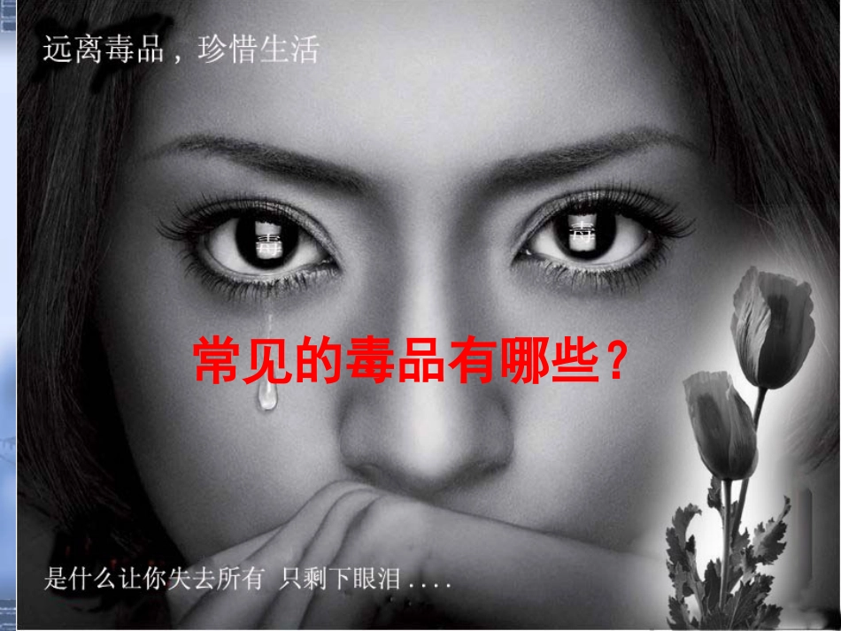 鸦片战争的烽烟 (2)_第3页