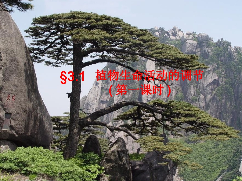 植物生命活动的调节saz_第2页