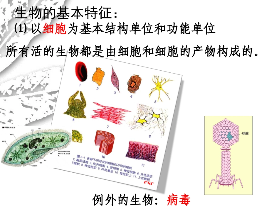 高中生物学前言_第3页
