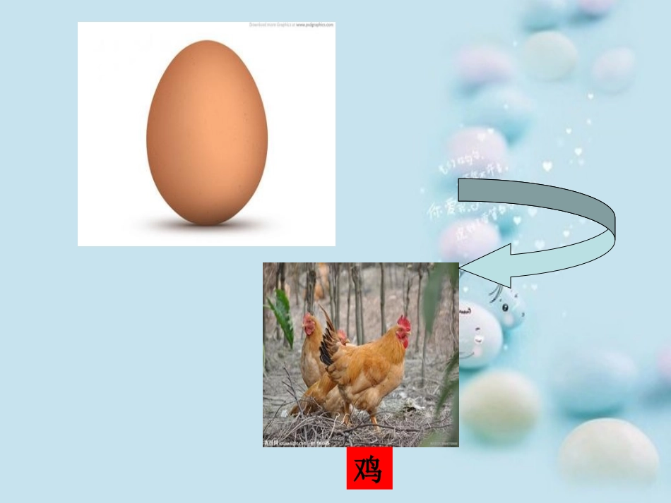 科学活动—有趣的蛋宝宝_第3页