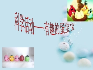 科学活动—有趣的蛋宝宝