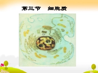 《细胞质》课件１