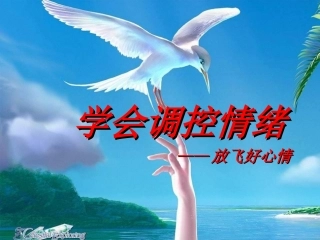 学会调控情绪——放飞好心情