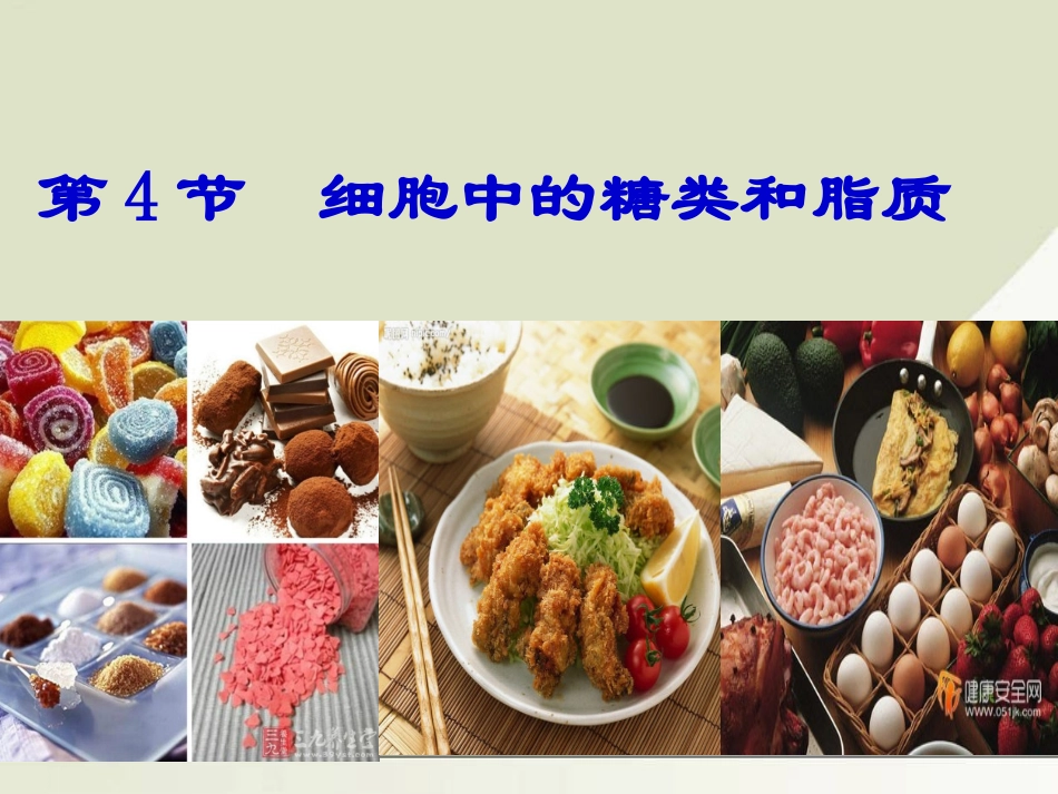 细胞中的糖类和脂质_第1页